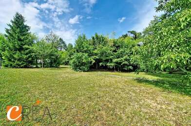 Terrain  232000 €