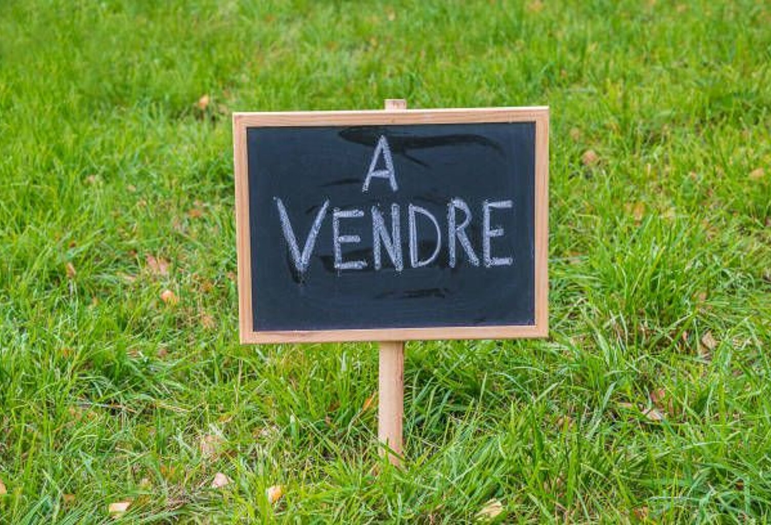 Terrain À Vendre — photo 1