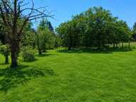 Terrain Carisey 1100 m2 — photo 3