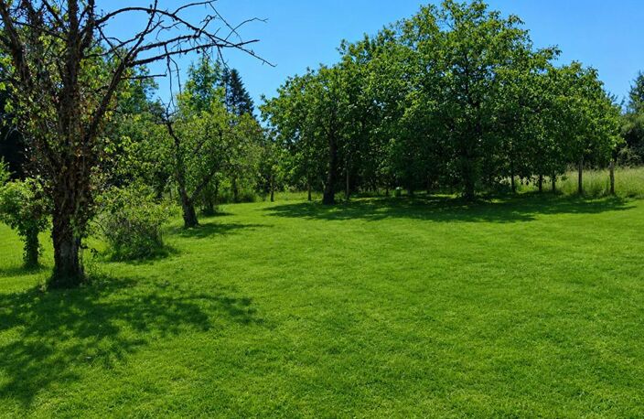 Terrain Carisey 1100 m2 — photo 3