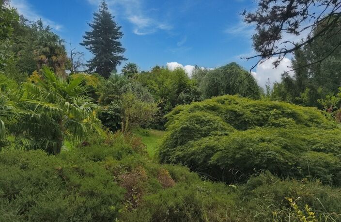Maison MAÏTRE Salies De Bearn 21 pièce(s) 500 m2 — photo 5