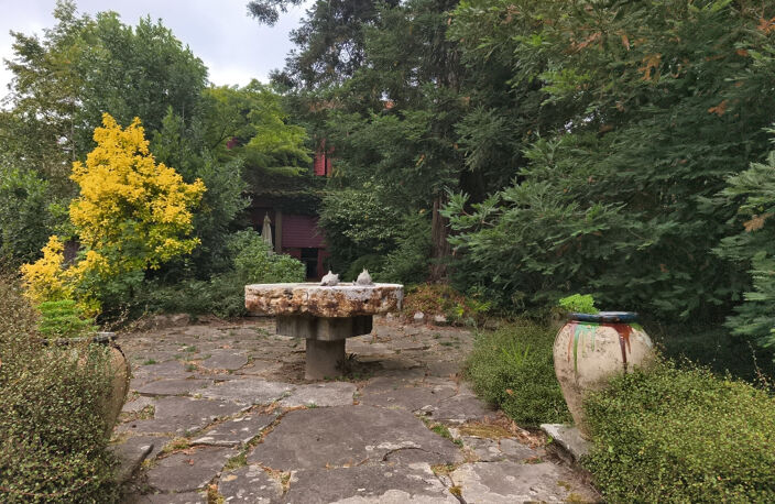Maison MAÏTRE Salies De Bearn 21 pièce(s) 500 m2 — photo 4