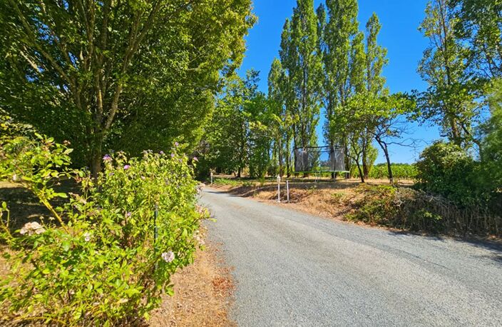 Bellevigne-en-Layon - Propriété de 250 m²  - 2 habitations - Piscine chauffée - Plus d'1 hectare de terrain — photo 2