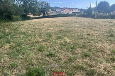Terrain  60000 €