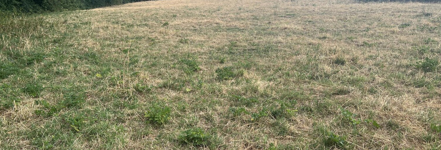 Terrain  3020 m² à vendre à Matour (71520)