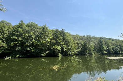 Terrain  9000 €