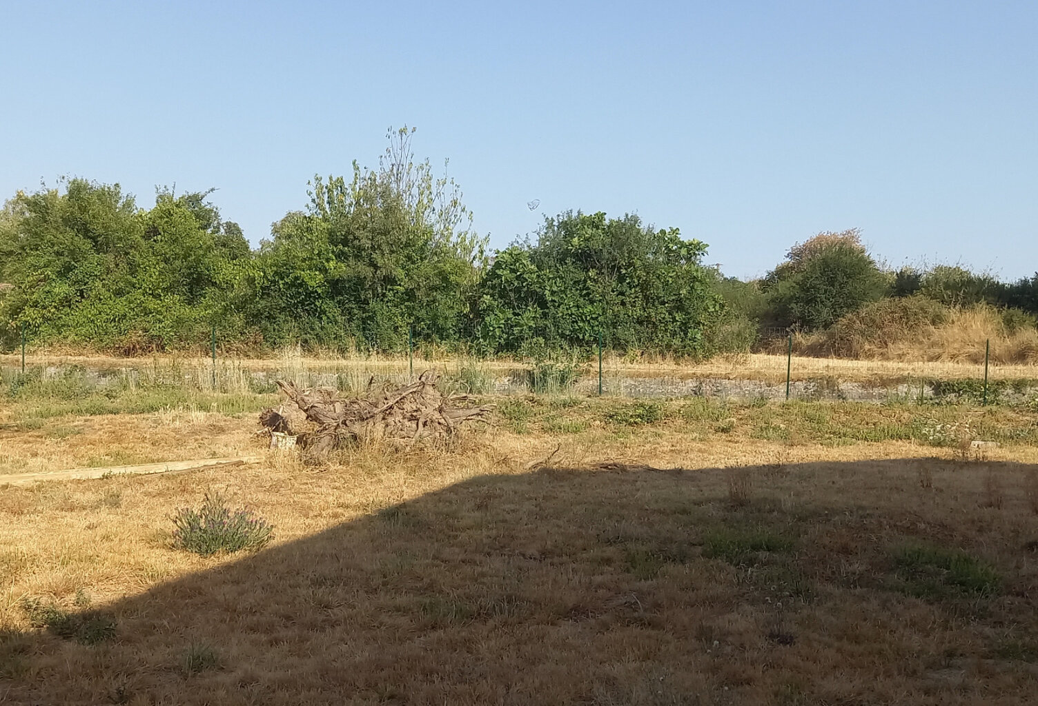 Terrain à bâtir Lherm — photo 1