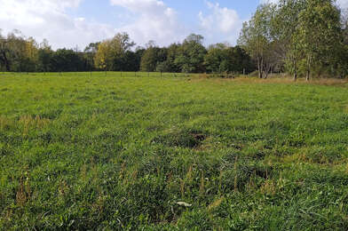 Terrain  75000 €