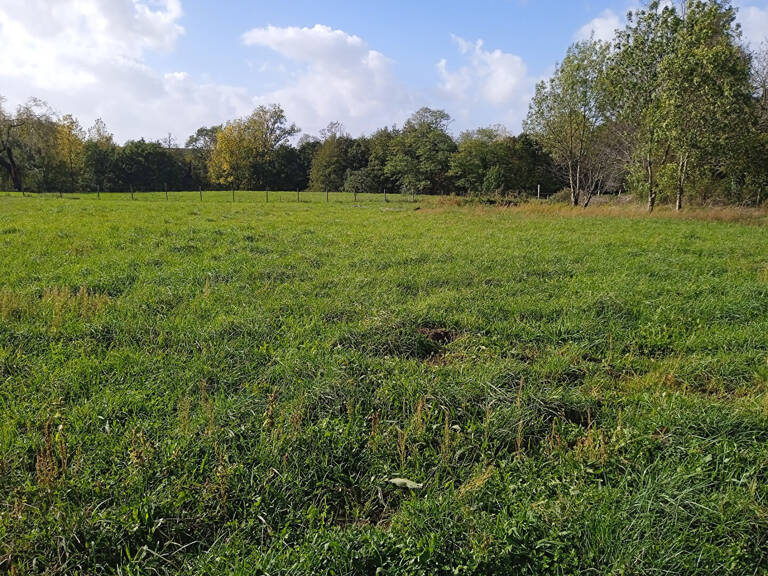 A VENDRE TERRAIN À BATIR 1993 m2 VIABILISÉ VAL-DE-LIVENNE — photo 1