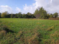 A VENDRE TERRAIN À BATIR 1993 m2 VIABILISÉ VAL-DE-LIVENNE — photo 2