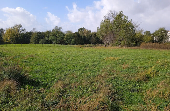 A VENDRE TERRAIN À BATIR 1993 m2 VIABILISÉ VAL-DE-LIVENNE — photo 2