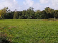 A VENDRE TERRAIN À BATIR 1993 m2 VIABILISÉ VAL-DE-LIVENNE — photo 3