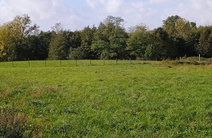 A VENDRE TERRAIN À BATIR 1993 m2 VIABILISÉ VAL-DE-LIVENNE — photo 3