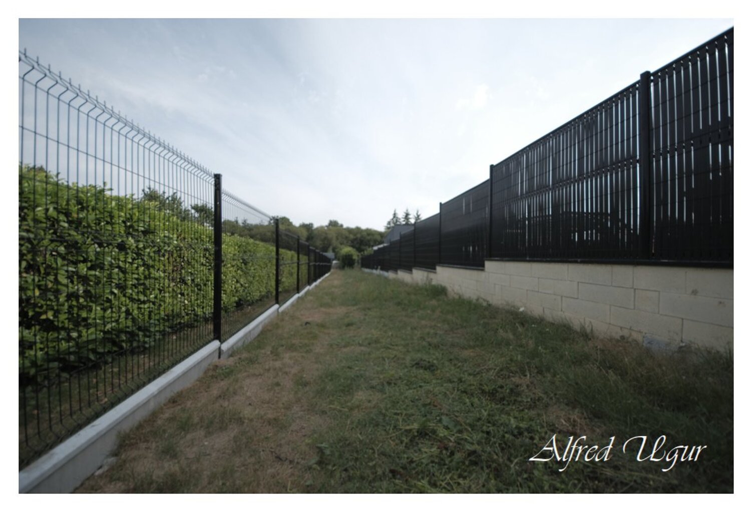 Terrain — photo 1