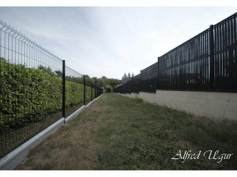 Terrain — photo 1