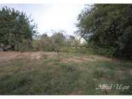 Terrain — photo 2