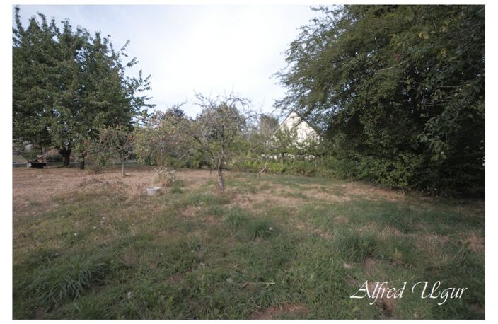 Terrain — photo 2