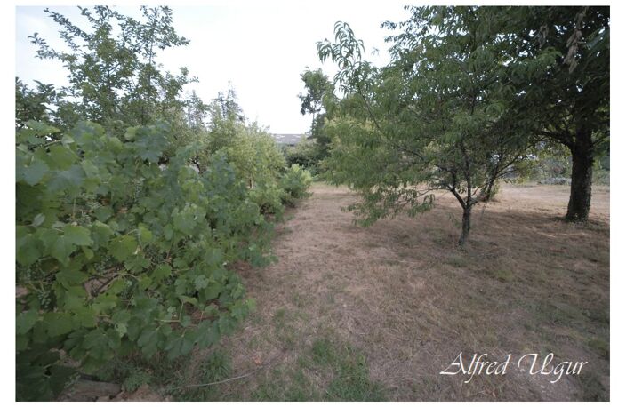 Terrain — photo 3