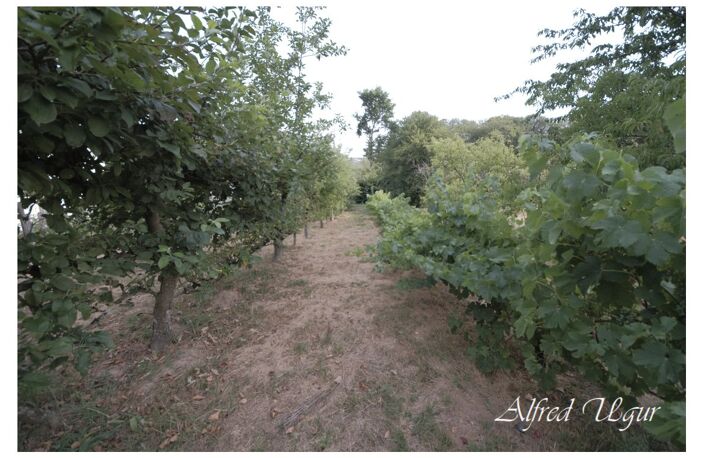 Terrain — photo 4