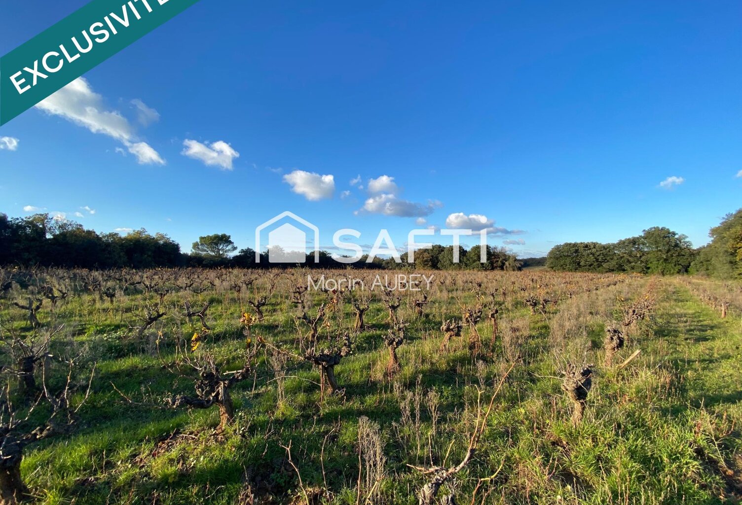 TERRAIN DE LOISIR OU AGRICOLE — photo 1