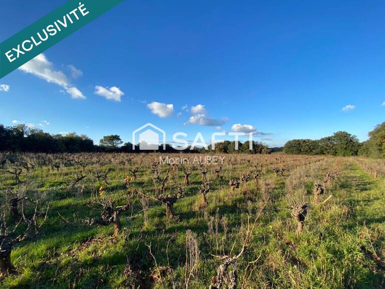 TERRAIN DE LOISIR OU AGRICOLE — photo 1