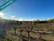 TERRAIN DE LOISIR OU AGRICOLE — photo 2