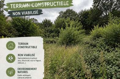 Terrain  55000 €