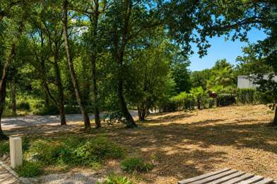 Terrain  300000 €