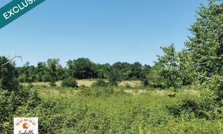 Terrain  197050 m² à vendre à Castelnau d'Auzan Labarrère (32440)