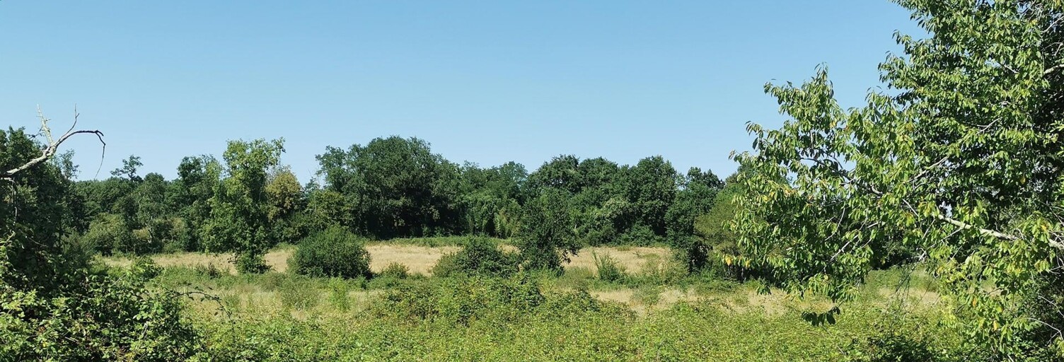 Terrain  197050 m² à vendre à Castelnau d'Auzan Labarrère (32440)