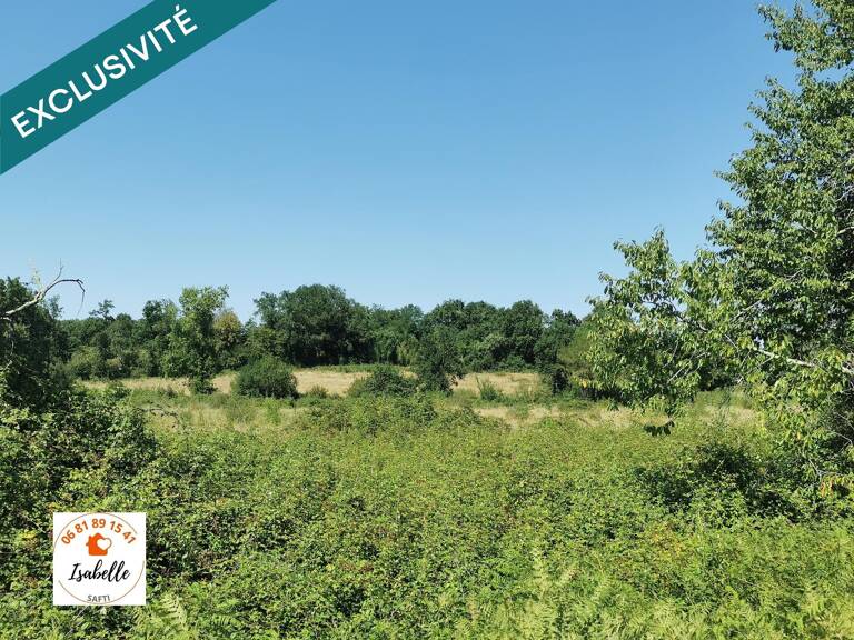 2 propriétés dont la nature a repris son droit — photo 1