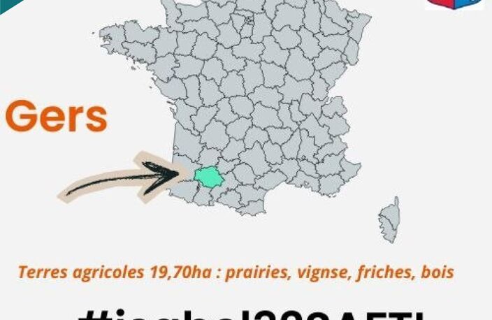 2 propriétés dont la nature a repris son droit — photo 2