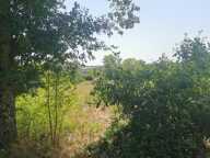2 propriétés dont la nature a repris son droit — photo 3