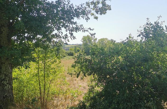 2 propriétés dont la nature a repris son droit — photo 3