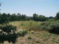 2 propriétés dont la nature a repris son droit — photo 4