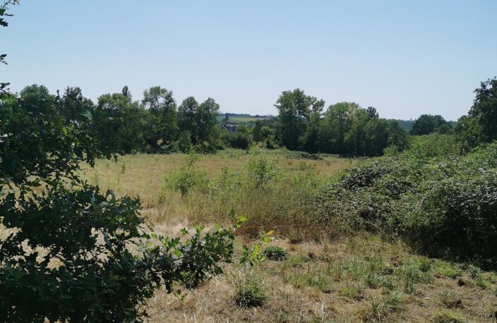 2 propriétés dont la nature a repris son droit — photo 4