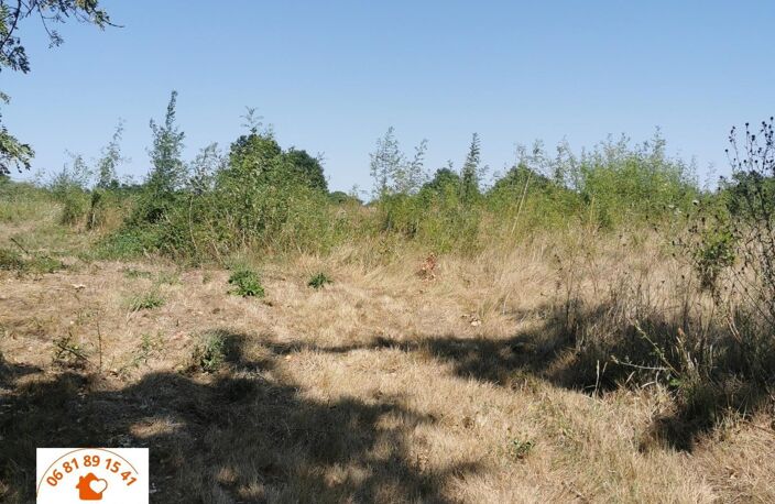 2 propriétés dont la nature a repris son droit — photo 5