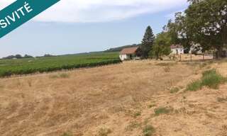 Terrain  1218 m² à vendre à La Chapelle-sur-Loire (37140)