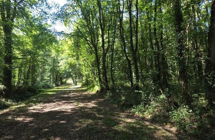Belle parcelle de bois à proximité d'un petit village du berry — photo 2