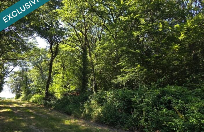 Belle parcelle de bois à proximité d'un petit village du berry — photo 3