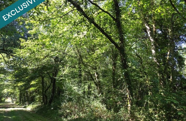 Belle parcelle de bois à proximité d'un petit village du berry — photo 5