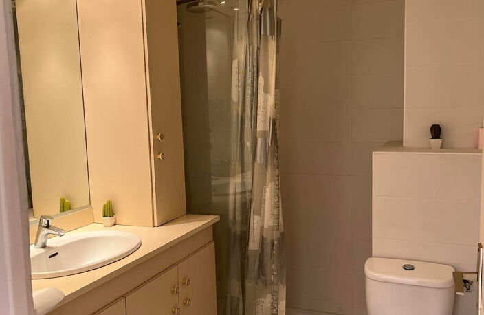 Appartement T2 meublé centre ROUSSILLON — photo 5