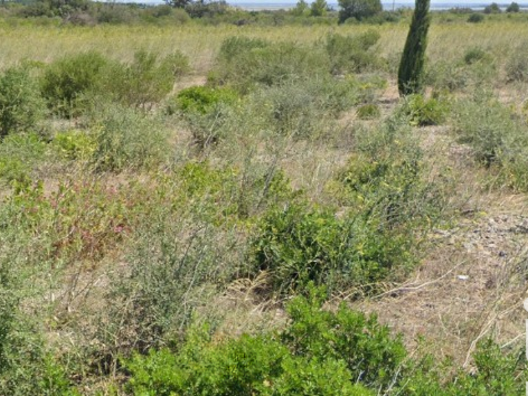 Vente Terrain agricole 3 510 m&sup2; — photo 1