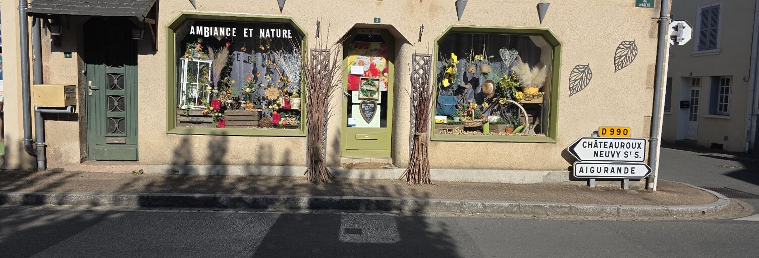 Commerce 3 Pièces 50 m² à vendre à Cluis (36340)