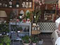 Local commercial — photo 2
