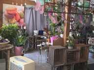 Local commercial — photo 3