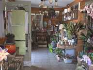 Local commercial — photo 4