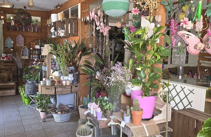 Local commercial — photo 5