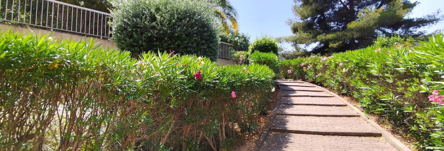 Appartement 3 Pièces 66 m² à vendre à Hyères (83400)