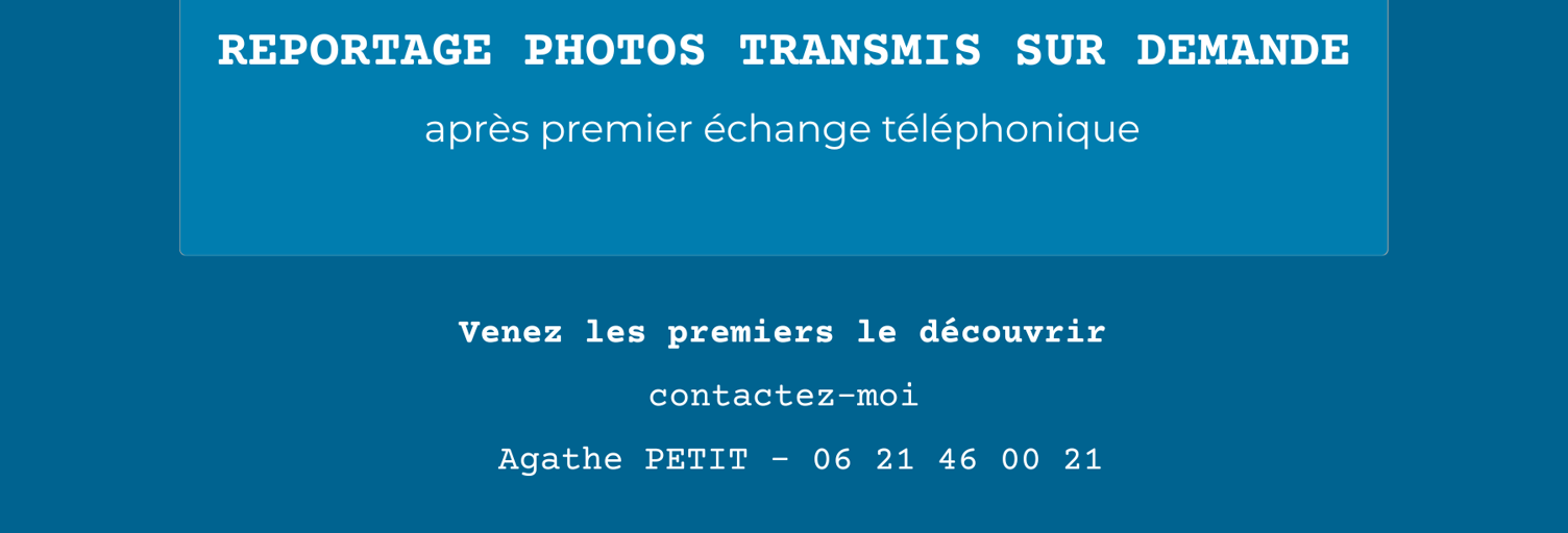 Photo N° 2